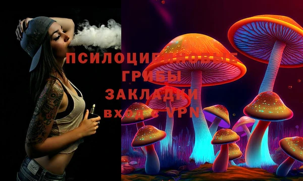 прущие крисы Балахна
