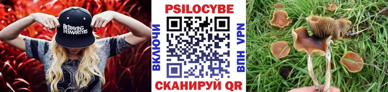 это Telegram  Томилино  Псилоцибиновые грибы мухоморы 
